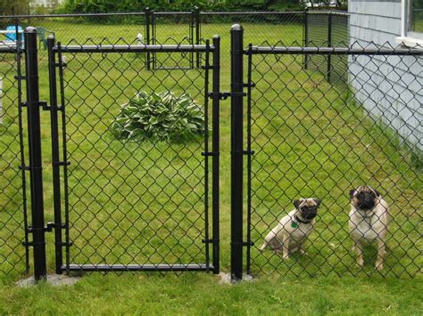 Fence for dogs. Things To Know About Fence for dogs. 